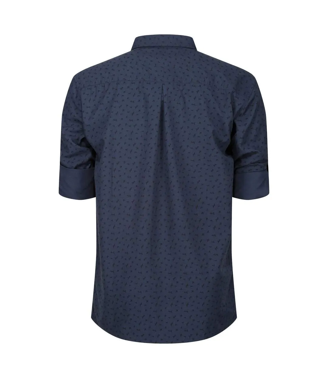 Mens mindano v floral long-sleeved shirt blue wing Regatta